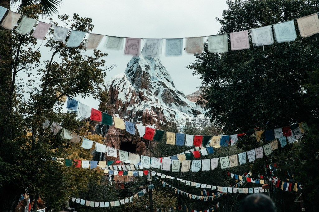 Rickey Ranks Top 5 Drinks At Animal Kingdom Rickey Mouse
