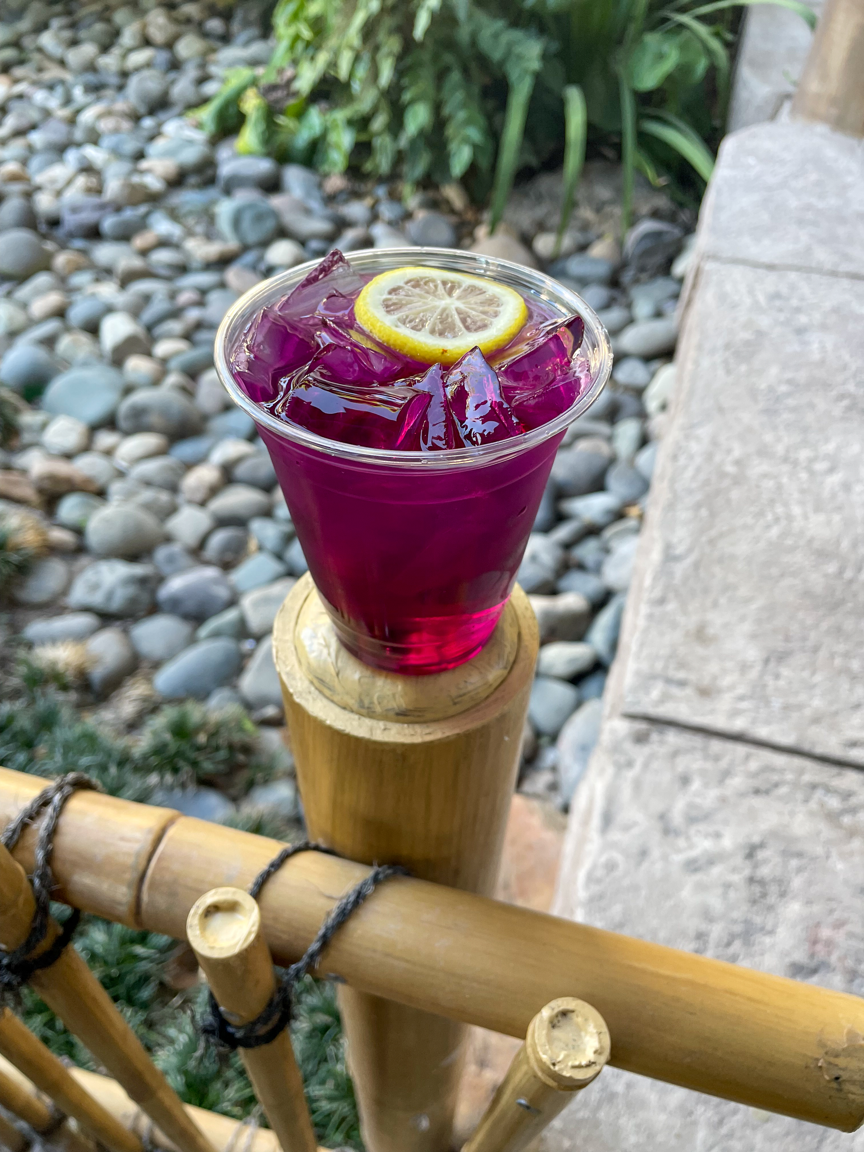 Drink Review: Violet Sake